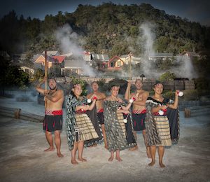 Tour guide service: Rotorua: Redwoods Canopy Tree Walk & Te Puia Geysers