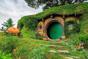 Hobbiton Movie Set Tour Package - Tauranga Cruise and Tour