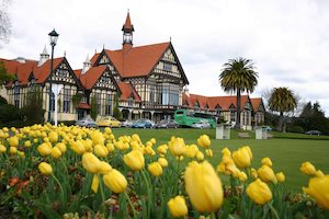 Best of Tauranga & Rotorua's Hidden Secrets