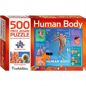 Postshop: Puzzlebilities Human Body 500pc