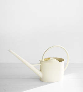 Department store: Indoor Watering Can