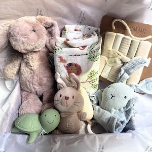 Bundle of Joy Baby Gift Set - A Delightful Surprise Baby Gift Pack