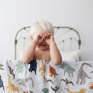 Single Cotton Muslin Swaddle - Dino Friends