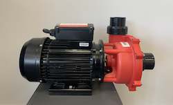 Piranha 2hp 2 Speed Pump