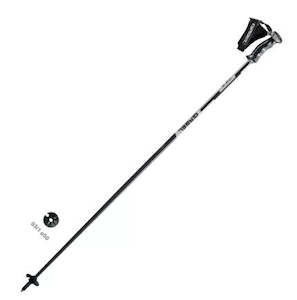 Gabel HS-R Black/Silver ski pole