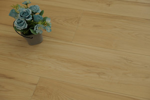 Taupe Oak-H0161（Step Guard- A brand of Jerry Home USA） TD Floors