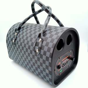 Speakers: Portable Bluetooth Handbag Speaker FM Radio