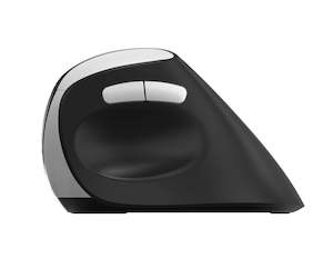 Rapoo: Rapoo EV250 Silent Wireless Ergonomic Mouse