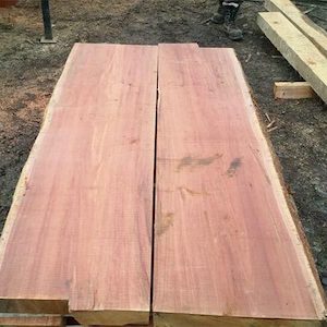 Saw mill: Red Beech panelling