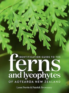 Books: Identification Guide to the Ferns and Lycophytes of Aotearoa New Zealand