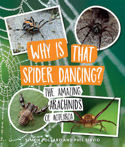 Why is That Spider Dancing? The Amazing Arachnids of Aotearoa