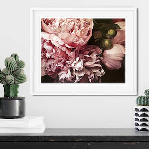 Print Antique Pink Peonies