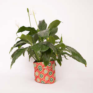 Pattern Planter- Rita Angus