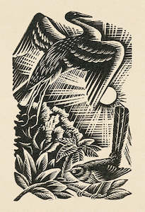 Birds; 1955 - Card