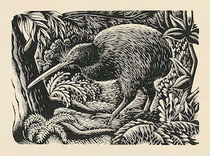 Kiwi; 1954 - Card