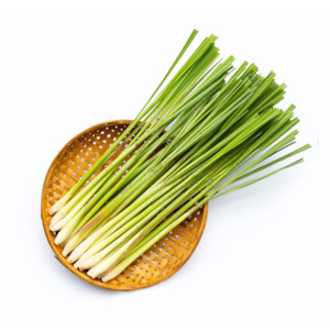 Lemongrass Essential Oil