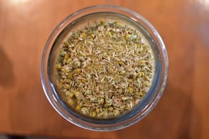 Health supplement: Chamomile flowers Matricaria recutita Organic