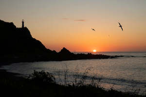 Seafish: Cape Palliser sunrise