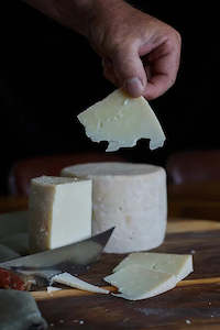 Pecorino