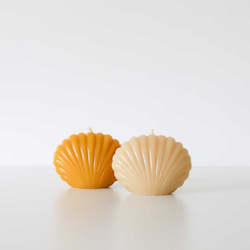 Scallop Shell Beeswax Candles