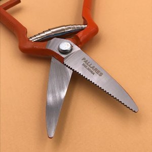 Pallarès Pruning Shears - Straight