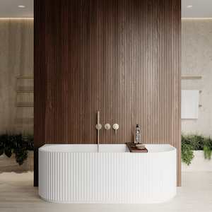 Newtech Willow Back to Wall Bath