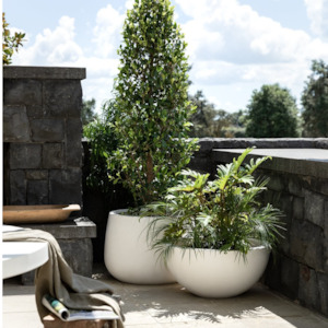 Awatere Concrete Planter | 3 Colours & Sizes