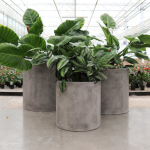 Mikonui Cylinder Planter | 3 Colours & 3 Sizes