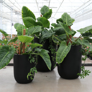 ORETI PLANTER | 3 SIZES | WHITE, BLACK OR WEATHERED CEMENT