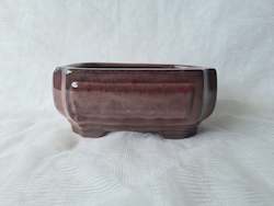 8 inch Deep Bonsai Pot