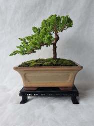 3D Printed Bonsai Stand