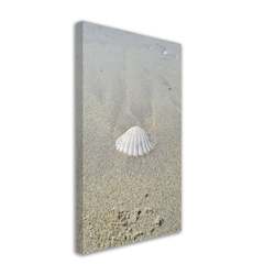 Homewares: Canvas Wall Art Shell on Beach 30x45 cm