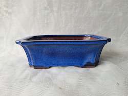 8 inch Bonsai Pot