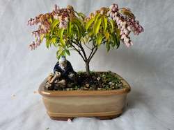 Bonsai Figurines