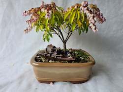 Bonsai Figurines