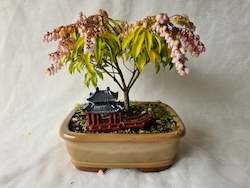 Bonsai Figurines