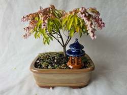 Bonsai Figurines