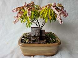 Bonsai Figurines