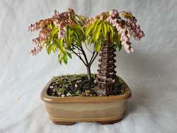 Bonsai Figurines