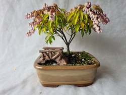 Bonsai Figurines