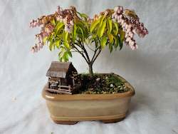 Bonsai Figurines