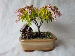 Bonsai Figurines