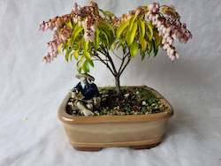 Bonsai Figurines