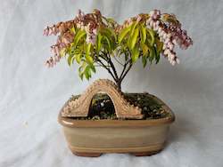 Bonsai Figurines