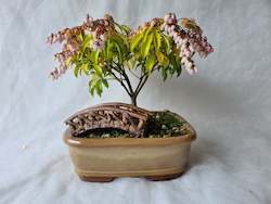 Bonsai Figurines