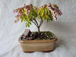 Bonsai Figurines