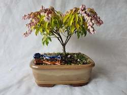 Bonsai Figurines