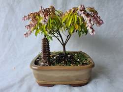 Bonsai Figurines