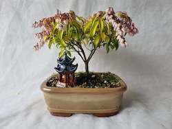 Bonsai Figurines