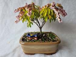 Bonsai Figurines